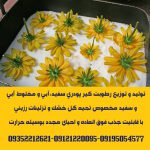 فروش عمده سیلیکاژل پودری