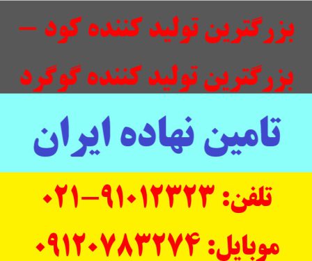 بزرگترین تولید کننده کود و گوگرد در ایران