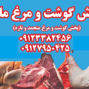 پخش عمده گوشت و مرغ منجمد ماهر