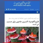 نمایندگی فروش قارچ گانودرما